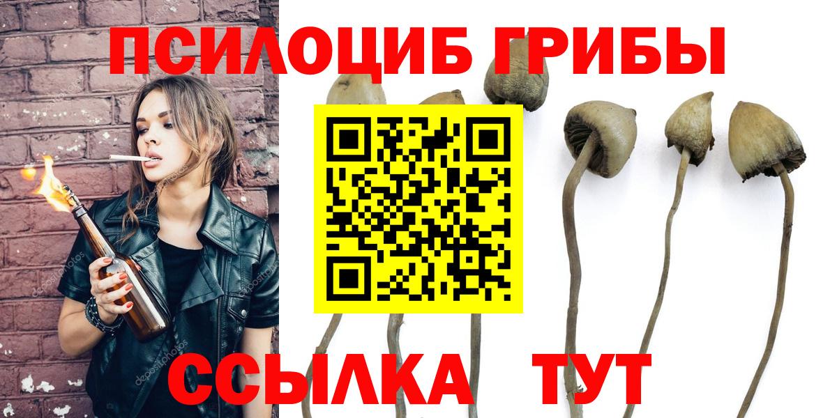Зеленокумск  что такое   Галлюциногенные грибы Magic Shrooms  Вход с VPN  Галлюциногенные грибы мицелий 